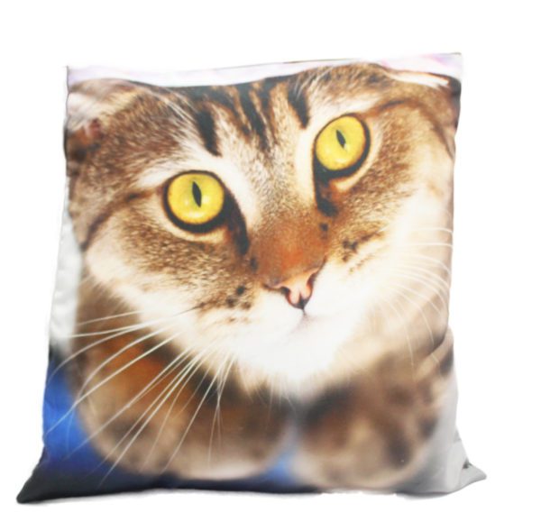 Almofada com estampa - Gato