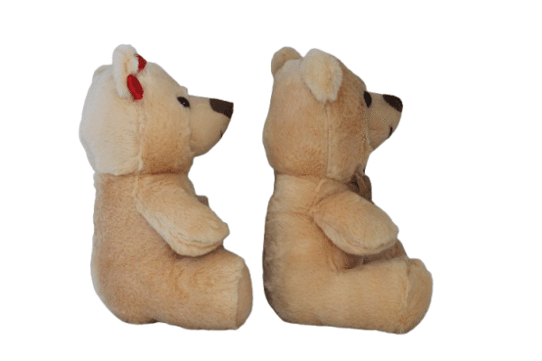 Casal Urso de pelúcia - 22cm - Imagem 2
