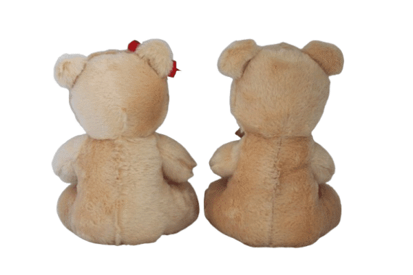 Casal Urso de pelúcia - 22cm - Imagem 3