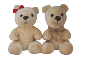 Casal Urso de pelúcia - 22cm