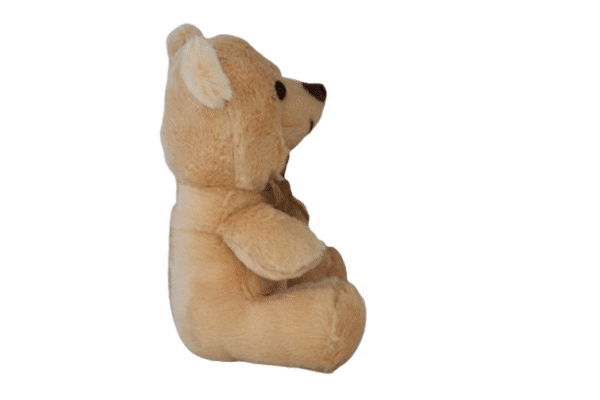 Urso de pelúcia - 22cm - Imagem 2