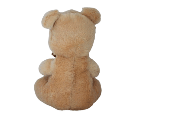 Urso de pelúcia - 22cm - Imagem 3