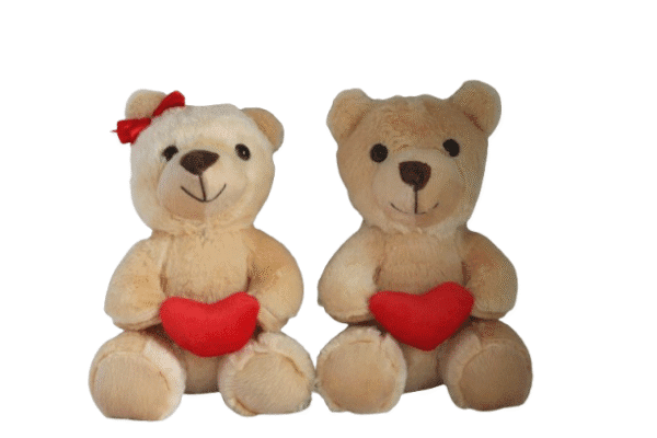 Casal Urso de pelúcia com coração - 22cm - Imagem 2