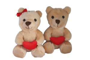 Casal Urso de pelúcia com coração - 22cm