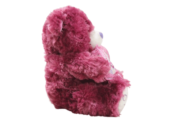 Urso Roxo de Pelúcia com Coração - 23cm - Imagem 3
